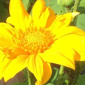 Meet your Posher, Wendy